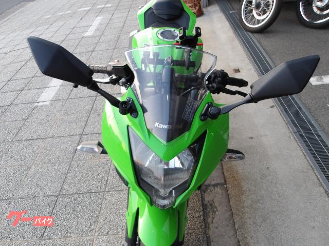 カワサキ Ｎｉｎｊａ　２５０ＳＬ　２０１５年モデル　インジェクション　水冷単気筒エンジン 写真19