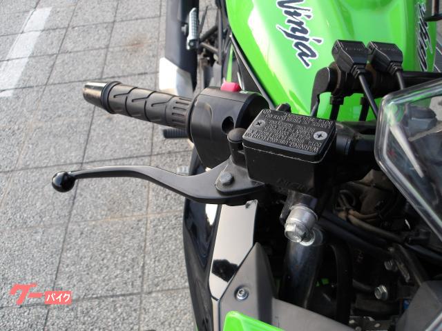 カワサキ Ｎｉｎｊａ　２５０ＳＬ　２０１５年モデル　インジェクション　水冷単気筒エンジン 写真20