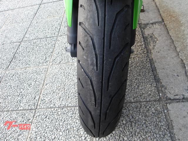 カワサキ Ｎｉｎｊａ　２５０ＳＬ　２０１５年モデル　インジェクション　水冷単気筒エンジン 写真27