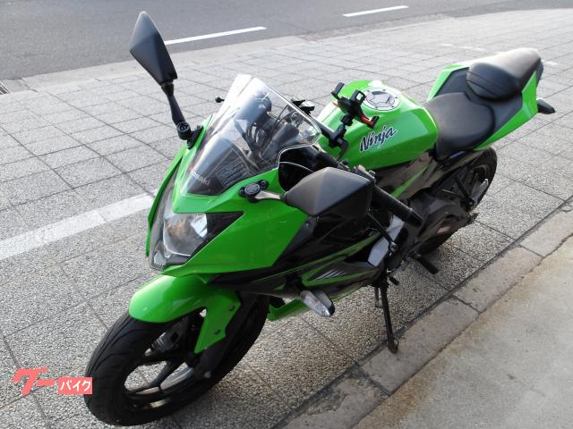 カワサキ Ｎｉｎｊａ　２５０ＳＬ　２０１５年モデル　インジェクション　水冷単気筒エンジン 写真28