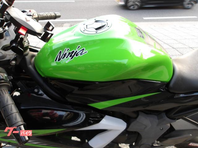 カワサキ Ｎｉｎｊａ　２５０ＳＬ　２０１５年モデル　インジェクション　水冷単気筒エンジン 写真30