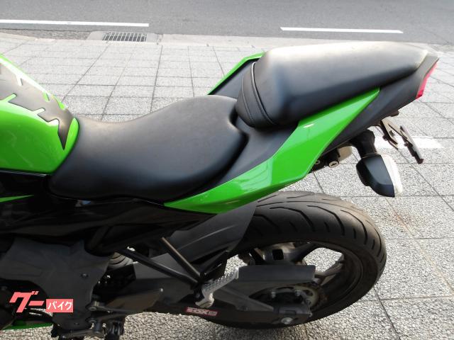 カワサキ Ｎｉｎｊａ　２５０ＳＬ　２０１５年モデル　インジェクション　水冷単気筒エンジン 写真31