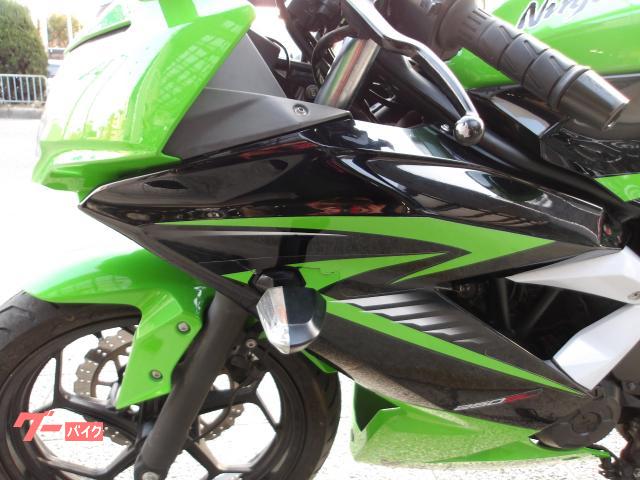 カワサキ Ｎｉｎｊａ　２５０ＳＬ　２０１５年モデル　インジェクション　水冷単気筒エンジン 写真32