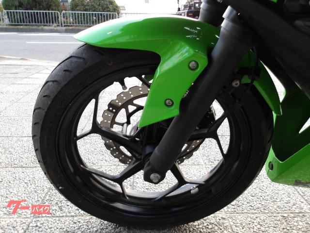 カワサキ Ｎｉｎｊａ　２５０ＳＬ　２０１５年モデル　インジェクション　水冷単気筒エンジン 写真34