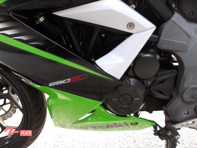 カワサキ Ｎｉｎｊａ　２５０ＳＬ　２０１５年モデル　インジェクション　水冷単気筒エンジン 写真35