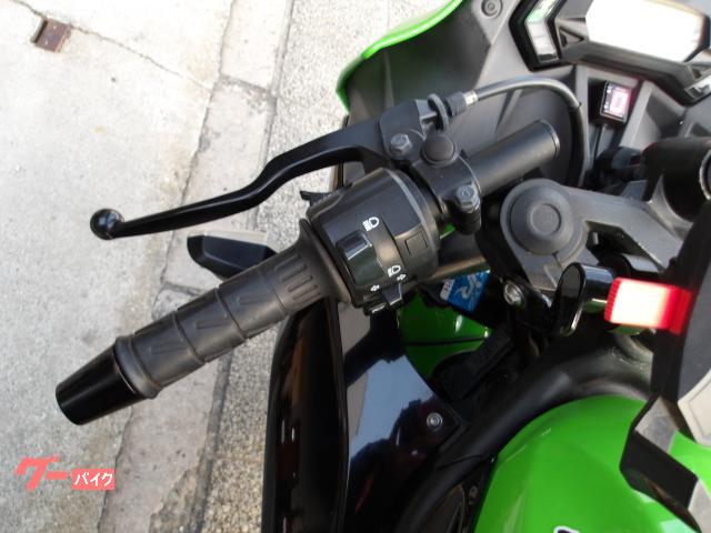カワサキ Ｎｉｎｊａ　２５０ＳＬ　２０１５年モデル　インジェクション　水冷単気筒エンジン 写真41