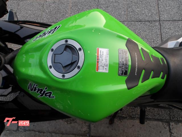 カワサキ Ｎｉｎｊａ　２５０ＳＬ　２０１５年モデル　インジェクション　水冷単気筒エンジン 写真43