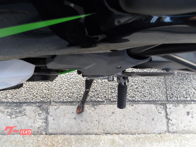 カワサキ Ｎｉｎｊａ　２５０ＳＬ　２０１５年モデル　インジェクション　水冷単気筒エンジン 写真48