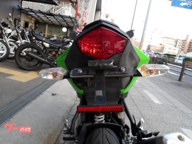 カワサキ Ｎｉｎｊａ　２５０ＳＬ　２０１５年モデル　インジェクション　水冷単気筒エンジン 写真49