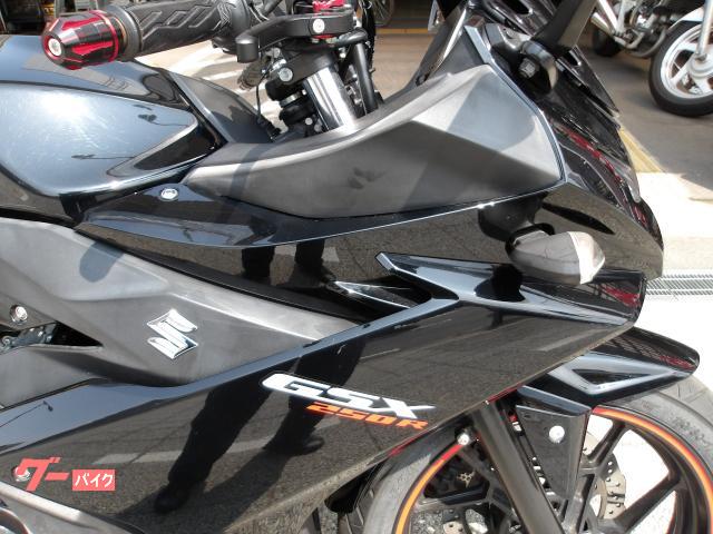 スズキ GSX250R 2017年モデル インジェクション 水冷2気筒エンジン搭載 写真7