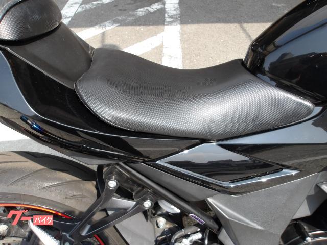 スズキ GSX250R 2017年モデル インジェクション 水冷2気筒エンジン搭載 写真11