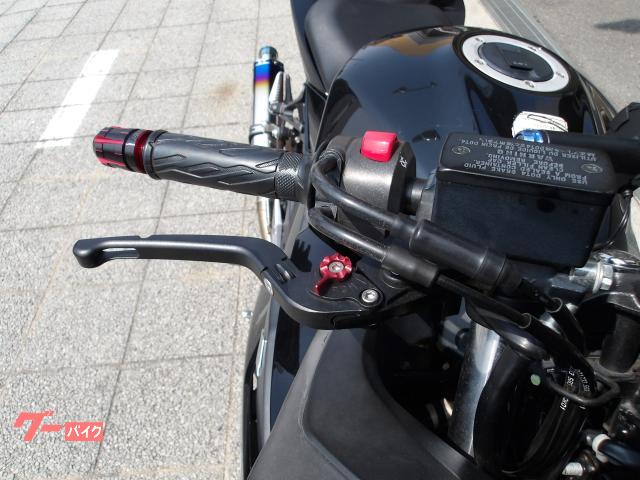 スズキ GSX250R 2017年モデル インジェクション 水冷2気筒エンジン搭載 写真23