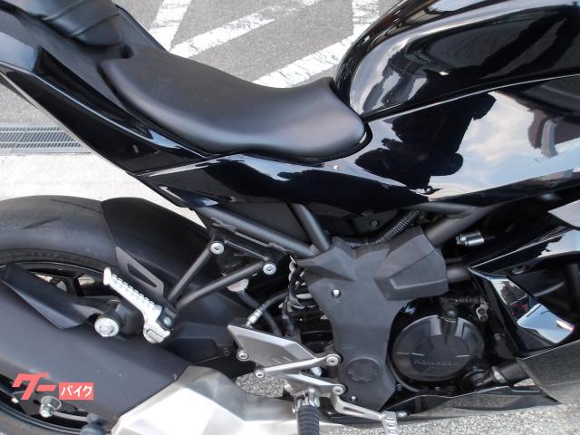 カワサキ Ｎｉｎｊａ　２５０ＳＬ　２０１６年モデル　インジェクション　水冷単筒エンジン搭載 写真11
