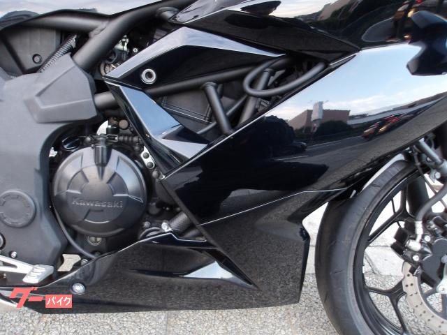 カワサキ Ｎｉｎｊａ　２５０ＳＬ　２０１６年モデル　インジェクション　水冷単筒エンジン搭載 写真15