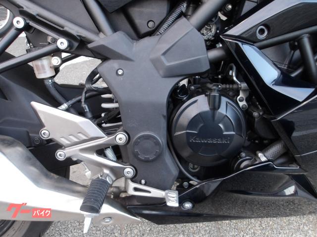 カワサキ Ｎｉｎｊａ　２５０ＳＬ　２０１６年モデル　インジェクション　水冷単筒エンジン搭載 写真16