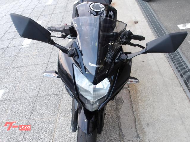 カワサキ Ｎｉｎｊａ　２５０ＳＬ　２０１６年モデル　インジェクション　水冷単筒エンジン搭載 写真20