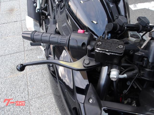 カワサキ Ｎｉｎｊａ　２５０ＳＬ　２０１６年モデル　インジェクション　水冷単筒エンジン搭載 写真21