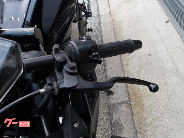 カワサキ Ｎｉｎｊａ　２５０ＳＬ　２０１６年モデル　インジェクション　水冷単筒エンジン搭載 写真22