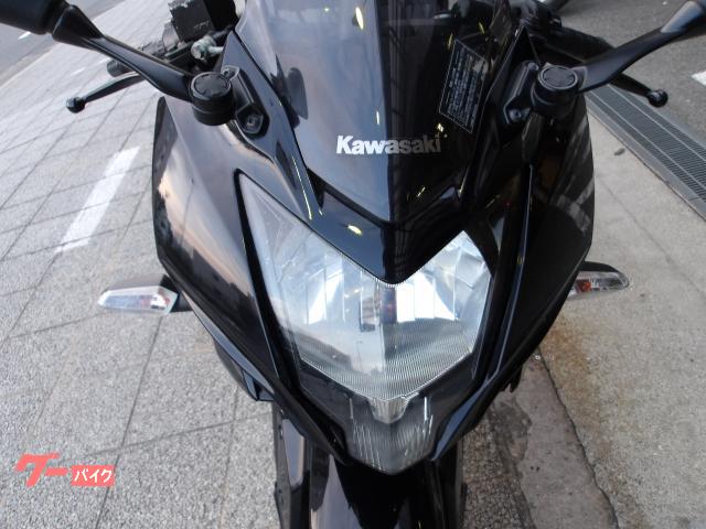 カワサキ Ｎｉｎｊａ　２５０ＳＬ　２０１６年モデル　インジェクション　水冷単筒エンジン搭載 写真23