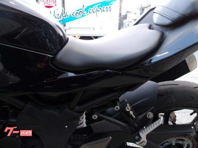 カワサキ Ｎｉｎｊａ　２５０ＳＬ　２０１６年モデル　インジェクション　水冷単筒エンジン搭載 写真31