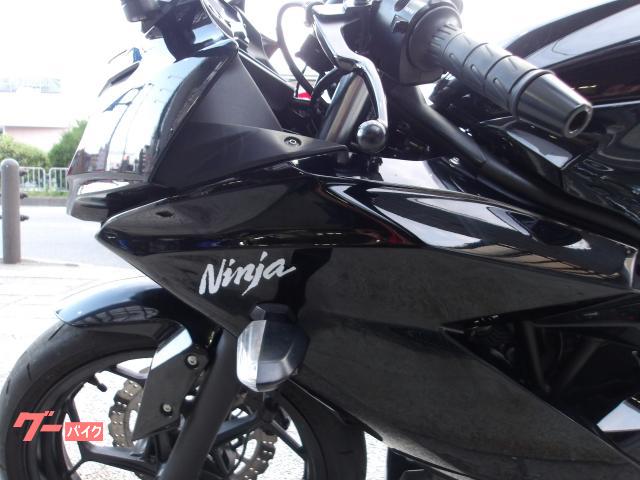 カワサキ Ｎｉｎｊａ　２５０ＳＬ　２０１６年モデル　インジェクション　水冷単筒エンジン搭載 写真35