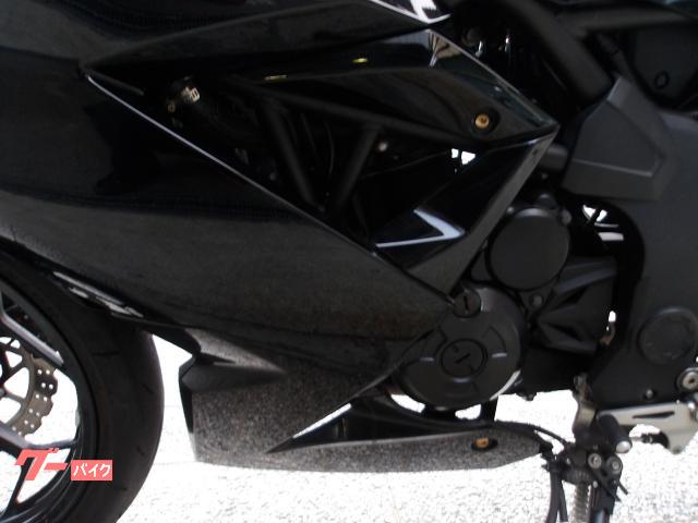 カワサキ Ｎｉｎｊａ　２５０ＳＬ　２０１６年モデル　インジェクション　水冷単筒エンジン搭載 写真36