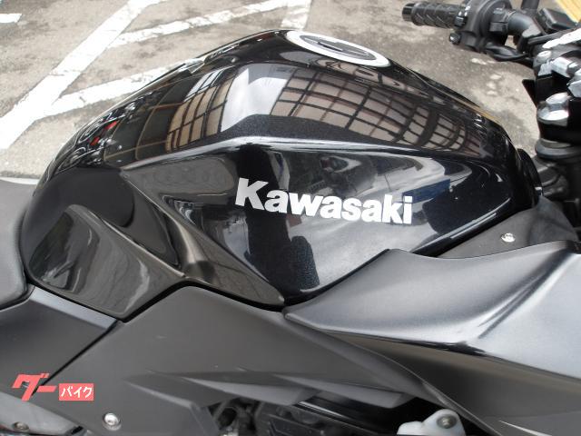 カワサキ Z250 2016年モデル ABS ETC 純正スペアキー インジェクション 水冷2気筒エンジン搭載 写真7