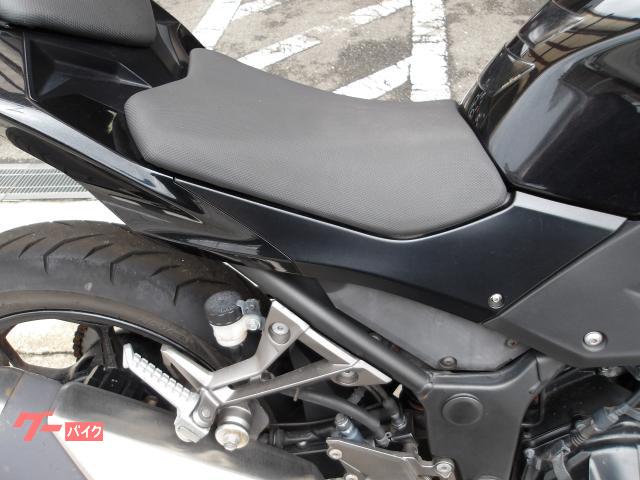 カワサキ Z250 2016年モデル ABS ETC 純正スペアキー インジェクション 水冷2気筒エンジン搭載 写真8