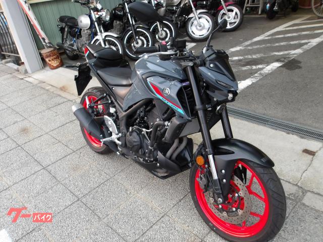ヤマハ ＭＴ−２５　２０２１年モデル　ＡＢＳ　純正スペアキー　インジェクション　水冷２気筒エンジン搭載 写真5