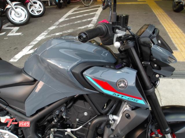 ヤマハ ＭＴ−２５　２０２１年モデル　ＡＢＳ　純正スペアキー　インジェクション　水冷２気筒エンジン搭載 写真6