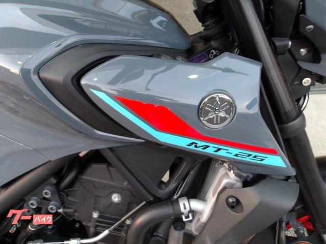 ヤマハ ＭＴ−２５　２０２１年モデル　ＡＢＳ　純正スペアキー　インジェクション　水冷２気筒エンジン搭載 写真7