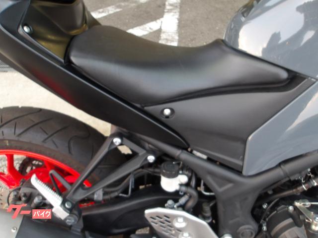 ヤマハ ＭＴ−２５　２０２１年モデル　ＡＢＳ　純正スペアキー　インジェクション　水冷２気筒エンジン搭載 写真10