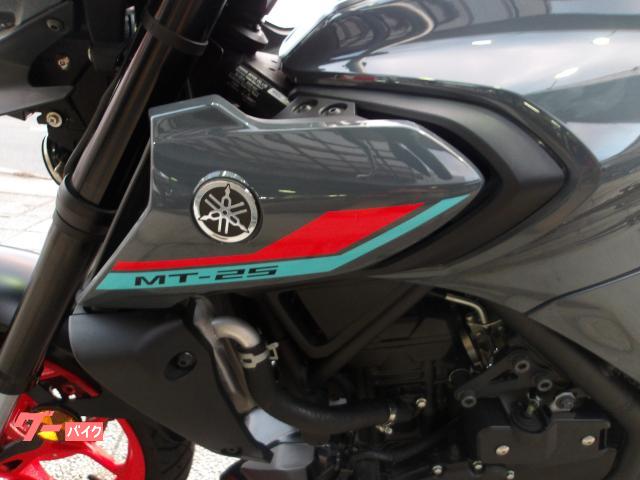 ヤマハ ＭＴ−２５　２０２１年モデル　ＡＢＳ　純正スペアキー　インジェクション　水冷２気筒エンジン搭載 写真32