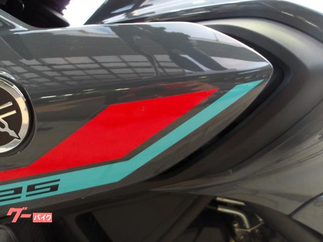 ヤマハ ＭＴ−２５　２０２１年モデル　ＡＢＳ　純正スペアキー　インジェクション　水冷２気筒エンジン搭載 写真33