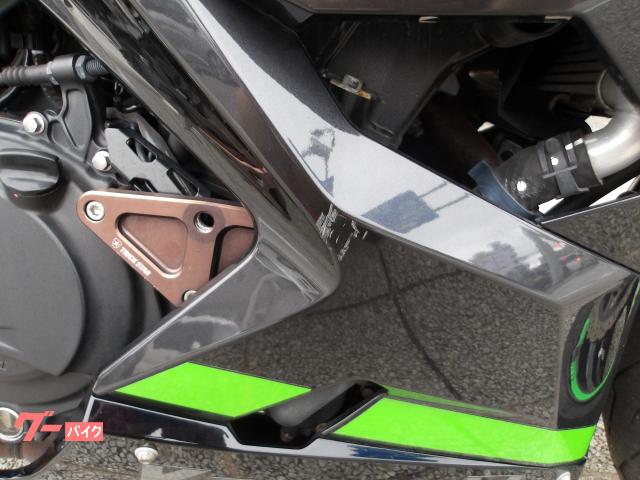 カワサキ Ｎｉｎｊａ　４００　２０１９年モデル　ＡＢＳ　インジェクション　水冷２気筒エンジン搭載 写真18