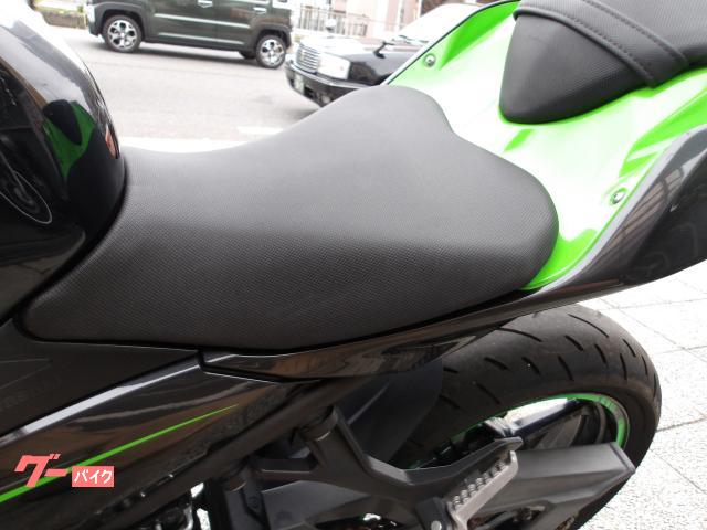 カワサキ Ｎｉｎｊａ　４００　２０１９年モデル　ＡＢＳ　インジェクション　水冷２気筒エンジン搭載 写真41