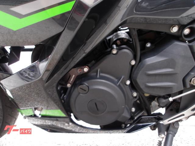 カワサキ Ｎｉｎｊａ　４００　２０１９年モデル　ＡＢＳ　インジェクション　水冷２気筒エンジン搭載 写真45