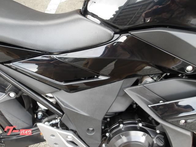 スズキ GSX250R 2019年モデル インジェクション 純正スペアキー 水冷2気筒エンジン搭載 写真10
