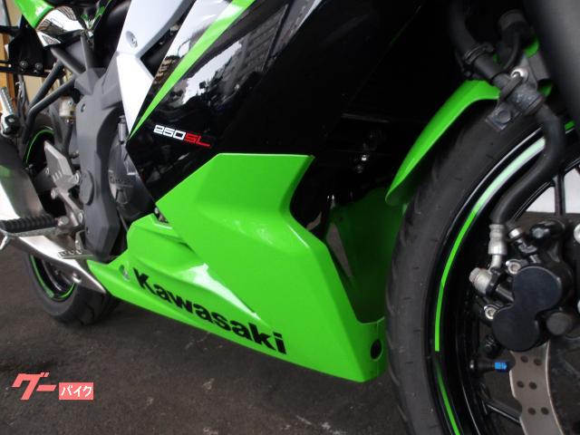 カワサキ Ninja 250SL 2015年モデル 純正スペアキー インジェクション 水冷単筒エンジン搭載 写真13