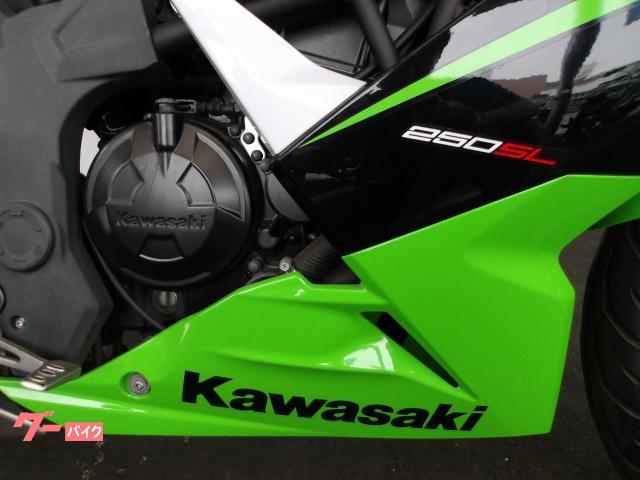 カワサキ Ninja 250SL 2015年モデル 純正スペアキー インジェクション 水冷単筒エンジン搭載 写真14