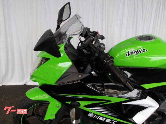 カワサキ Ninja 250SL 2015年モデル 純正スペアキー インジェクション 水冷単筒エンジン搭載 写真26