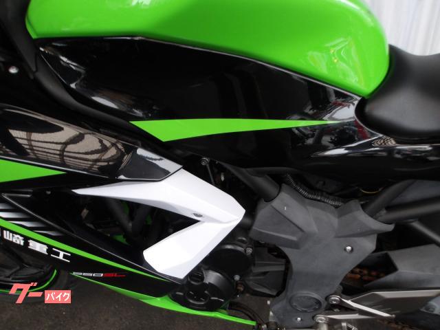 カワサキ Ninja 250SL 2015年モデル 純正スペアキー インジェクション 水冷単筒エンジン搭載 写真30