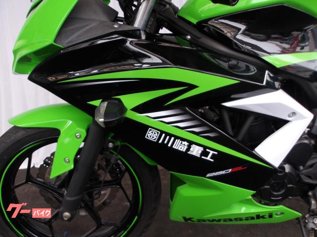 カワサキ Ninja 250SL 2015年モデル 純正スペアキー インジェクション 水冷単筒エンジン搭載 写真34