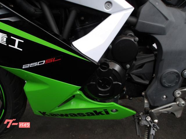 カワサキ Ninja 250SL 2015年モデル 純正スペアキー インジェクション 水冷単筒エンジン搭載 写真35