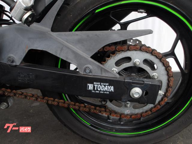 カワサキ Ninja 250SL 2015年モデル 純正スペアキー インジェクション 水冷単筒エンジン搭載 写真38