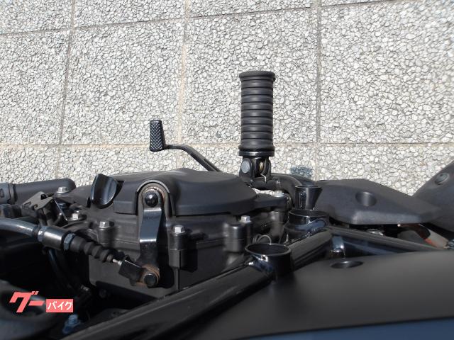 カワサキ エリミネーター400SE 2024年モデル ABS ETC 純正スペアキー インジェクション 水冷2気筒エンジン搭載 写真52