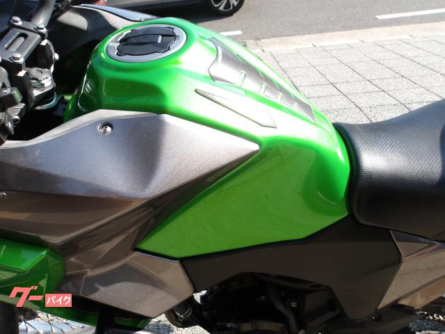 カワサキ VERSYSーX 250 2017年モデル インジェクション 水冷2気筒エンジン搭載 写真32