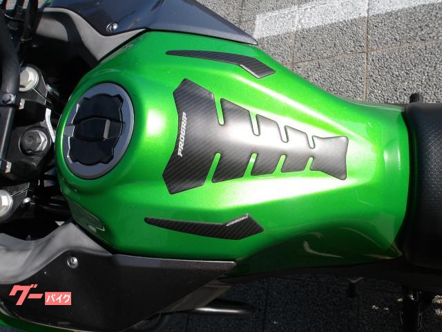 カワサキ VERSYSーX 250 2017年モデル インジェクション 水冷2気筒エンジン搭載 写真47