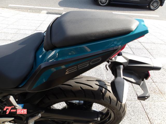 カワサキ Ｚ２５０　２０２１年モデル　インジェクション　純正スペアキー　水冷２気筒エンジン搭載 写真39