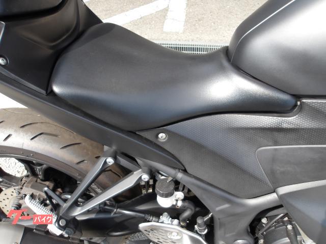 ヤマハ ＹＺＦ−Ｒ２５　２０１５年モデル　インジェクション　水冷２気筒エンジン搭載 写真9